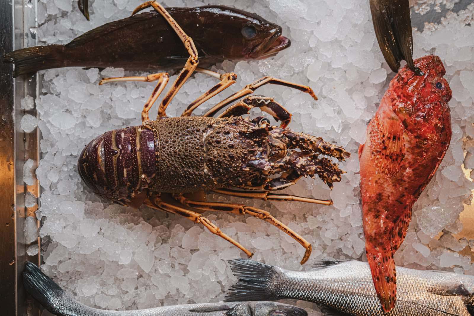 Primasera - Fish Restaurant - Mediterranean Cuisine - Poros